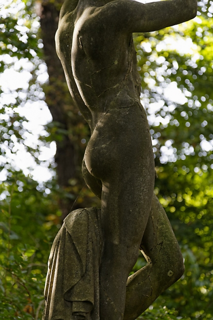 JAT (Jardin d'Agronomie Tropicale)-051